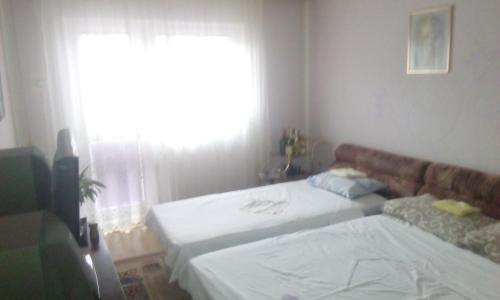 Postel nebo postele na pokoji v ubytování Guest House Obradovic