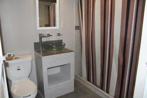 a bathroom with a sink and a toilet and a shower at Hotel Florencia Poza Rica in Poza Rica de Hidalgo