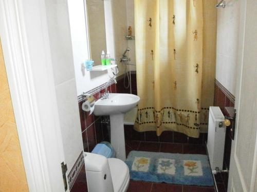 ein Bad mit einem Waschbecken, einem WC und einer Dusche in der Unterkunft Economy Hotel Fiesta in Izmail