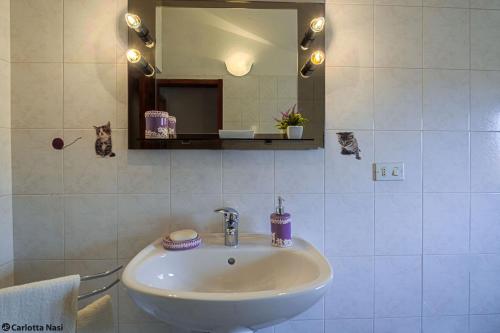 a bathroom with a sink and a mirror at La Calla in Monghidoro