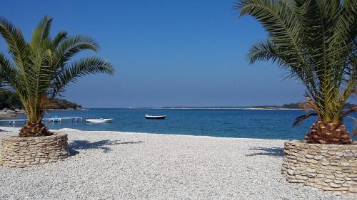 two palm trees on a sandy beach with the ocean at Apartments Silvana 74 in Pula
