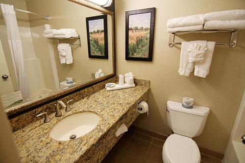 La salle de bains est pourvue d'un lavabo, de toilettes et d'un miroir. dans l'établissement C'mon Inn Grand Forks, à Grand Forks