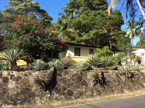 a house with a retaining wall and plants at Casa del Sol Bed and Breakfast in Contadora