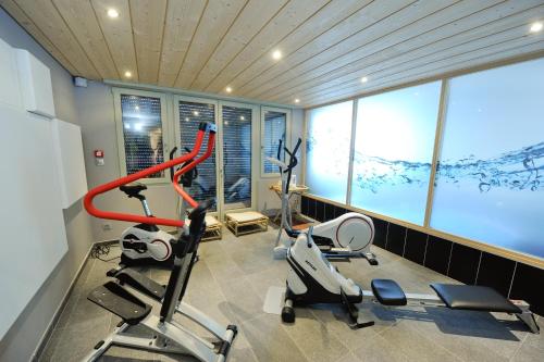 a gym with two treadmills and two exercise bikes at Hôtel L'Etang du Moulin By Céline in Bonnétage