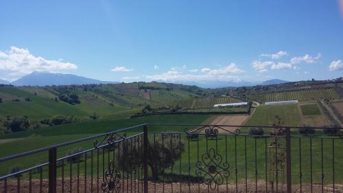 a view of a vineyard from behind a fence at B&B Itufi in Colonnella