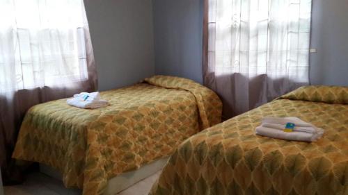 two beds in a room with towels on them at Buttercup Cottage Apartments in Arnos Vale