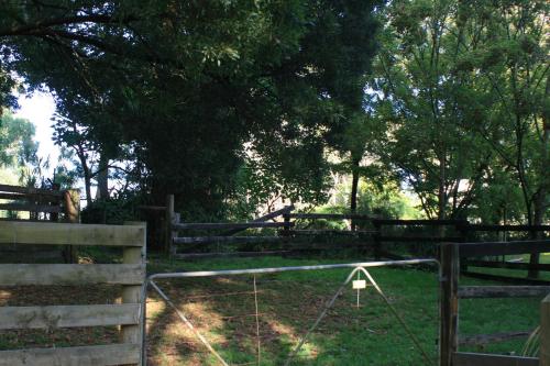 a fence with a net in a field with trees at Strathmore Farm B&B in Mirboo North