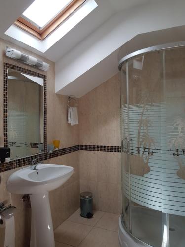 a bathroom with a sink and a glass shower at Pensiunea Verde in Cluj-Napoca