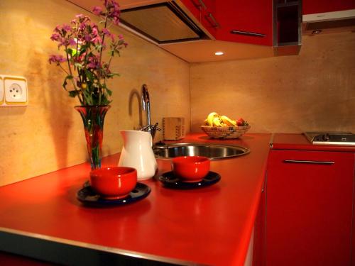 Dapur atau dapur kecil di Apartamentos La Iguana