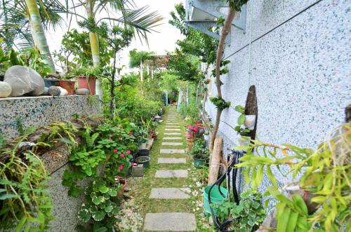a garden with plants and flowers on a wall at 旭緣咖啡民宿 in Taitung City