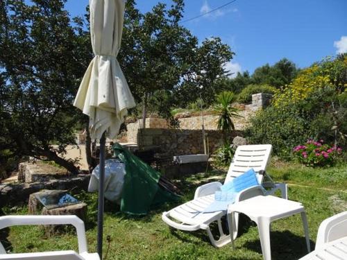 Κήπος έξω από το Tsikalaria Traditional Stone House