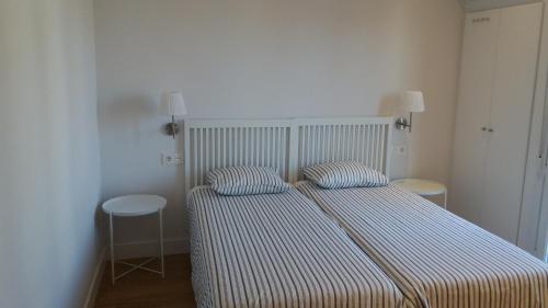 聖塞巴斯提安的住宿－Larramendi Terrace Apartment，卧室内的一张带两个枕头的床