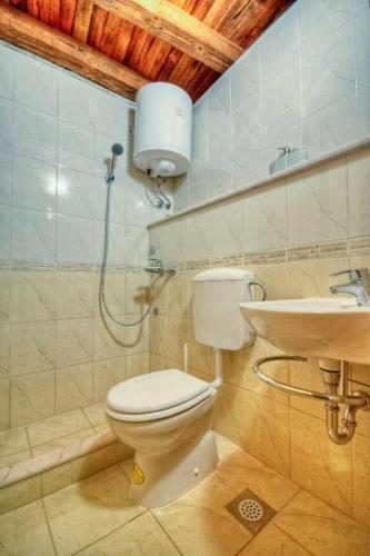 a bathroom with a toilet and a sink at Holiday Getaway Caric in Ivan Dolac