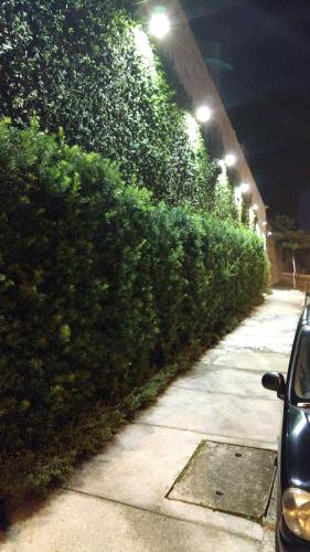 a row of bushes next to a sidewalk at night at Villa Sophia in Sao Paulo