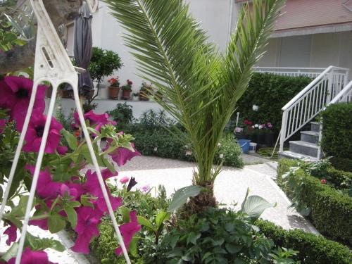 a garden with a palm tree and flowers at Hotel Angela in Asprovalta