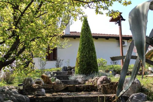 a garden in front of a house with a tree at A Cjase di Sandra in Moruzzo