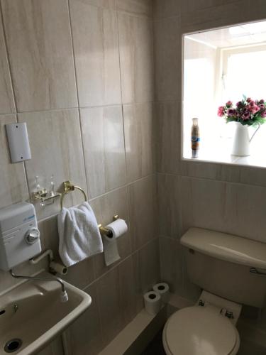 ミラーズ・デールにあるAnglers restのトイレ、洗面台、窓のあるバスルーム