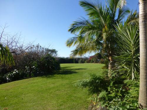 a palm tree in a yard with a green field at Tranquil Private Rural Retreat in Tauranga