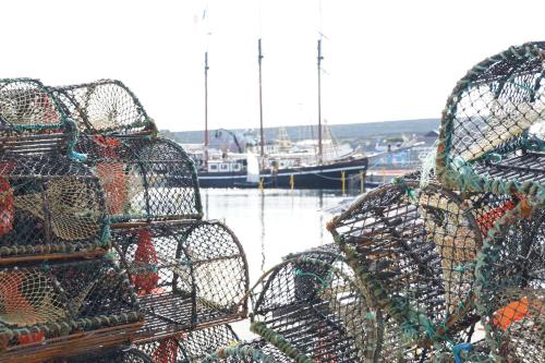 a bunch of cages filled with different types of nets at Aran Islands Camping & Glamping in Kilronan