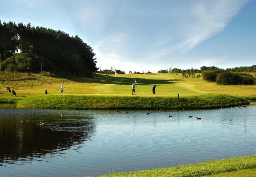 a group of people playing golf next to a body of water at The Fitzwilton Hotel in Waterford