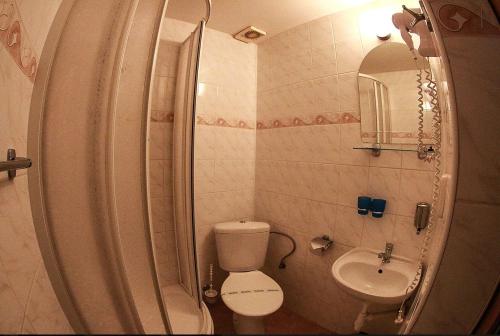 Baño pequeño con aseo y lavamanos en Hotel St.Florian Sturovo, en Štúrovo