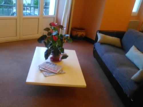 a living room with a couch and a table with a plant at Hôtel du Parc in Salies-du-Salat