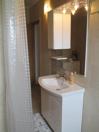 a bathroom with a sink and a shower curtain at Natasa Apartments in Jezerce