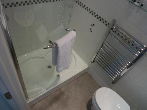 a bathroom with a shower and a sink and a toilet at Almondsbury Luxury Apartment in Almondsbury