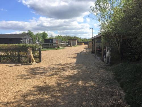 eine Gruppe von Tieren neben einem Zaun in der Unterkunft Willow Court Farm The Lodge & Petting Farm, 8 mins from Legoland & Windsor, 15 mins from Lapland UK in Windsor