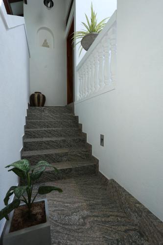 a staircase with a potted plant on the side at Amsterdam Tourist Rest in Anuradhapura