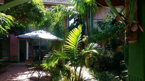 a patio with an umbrella and some plants at Pousada Ana Doce in São Sebastião