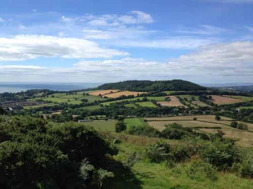 a view of a green valley with trees and the ocean at Sid Valley Country House Hotel in Sidmouth