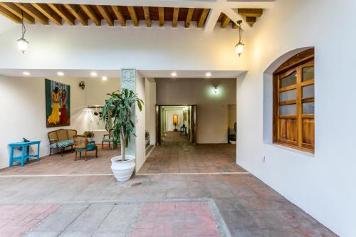 a hallway of a house with a potted plant at NaNa Vida Hotel Oaxaca in Oaxaca City