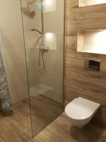 Ένα μπάνιο στο Apartamenty Pisz