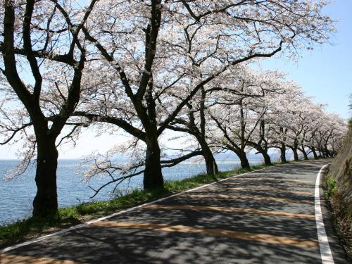 ホテルの近くで見られる自然の景観
