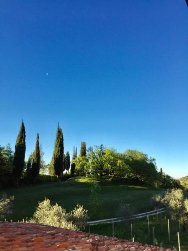 a large green field with trees and a blue sky at Agriturismo Cervano in Toscolano Maderno