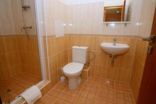 a bathroom with a toilet and a sink and a shower at Hotel Panorama in Teplice