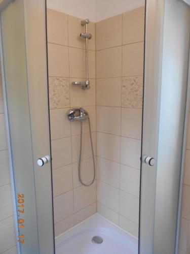 a bathroom with a shower with a sink and a toilet at Olt-Part Vendégház in Băile Tuşnad