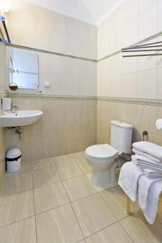 a bathroom with a toilet and a sink at Zajazd Beskidy in Żywiec
