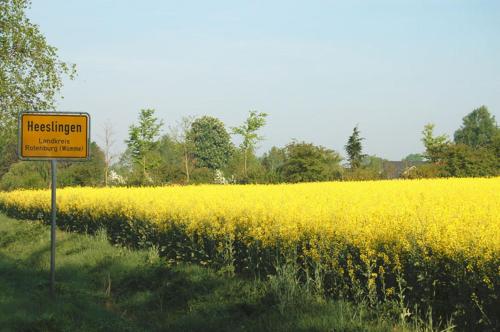 a yellow field with a sign in front of it at Hotel Restaurant Zum Hollengrund in Heeslingen