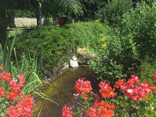 a cat sitting in a pond in a garden with flowers at Château de Pizay in Belleville-sur-Saône