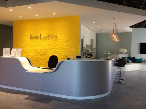 a yellow wall with the words sony labs on it at Sous Les Pins in Étoile-sur-Rhône