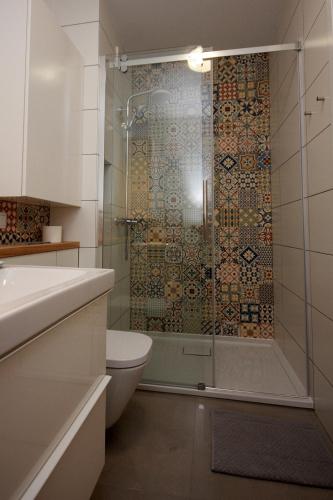 a bathroom with a shower and a toilet at Giżycko - Wilkasy - Apartamenty - ApartMazury in Wilkasy