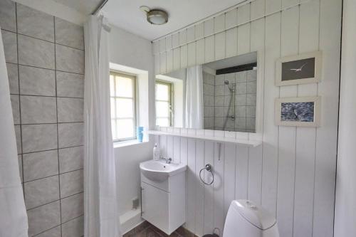 Møllegade 1 Holiday House في نُوابورغ: حمام مع مرحاض ومغسلة ومرآة