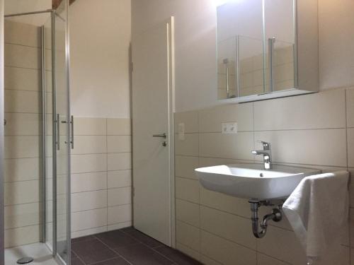 een badkamer met een wastafel en een douche bij Ferienwohnung am Herzogspark in Regensburg