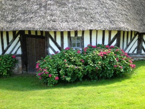 a thatch roofed house with flowers in front of it at L'auberge du Mont in Le Breuil-en-Auge