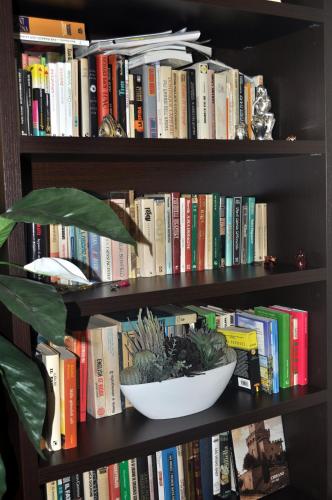 a book shelf filled with books with a plant in a bowl at Hotel Miramare in Pineto