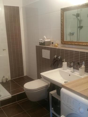 a bathroom with a toilet and a sink and a mirror at Apartment am Zoo in Krefeld
