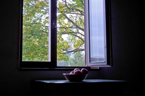 un bol de fruta sentado frente a una ventana en Salme Apartment en Tartu