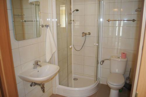 a bathroom with a shower and a toilet and a sink at Apartamenty Gościnne Med-Palace in Niemodlin